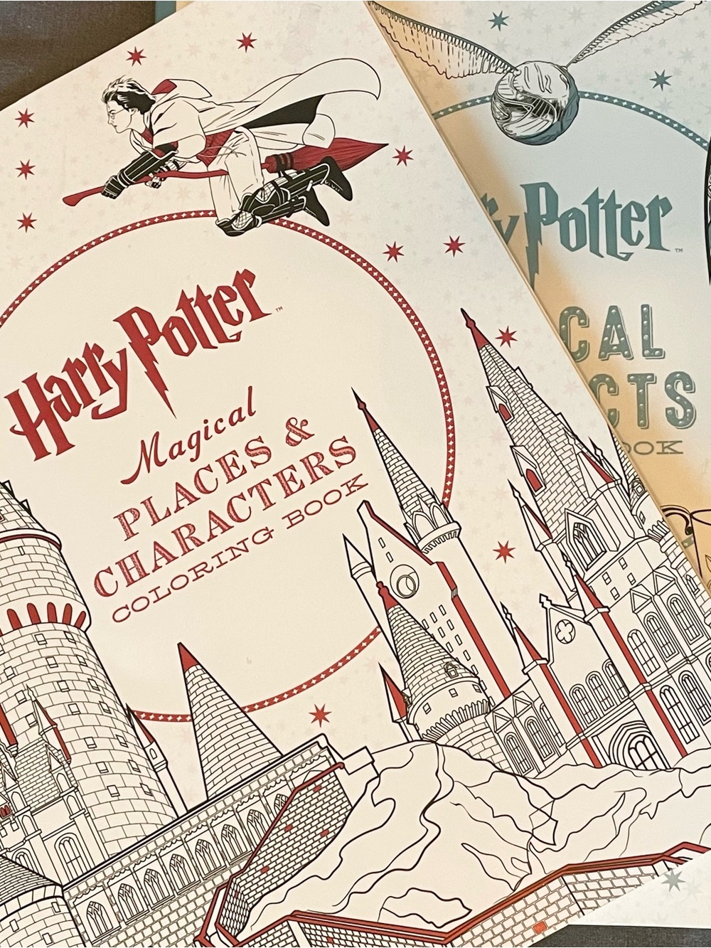 Harry Potter Coloring Books - set of 2. Characters & Artifacts from the series.